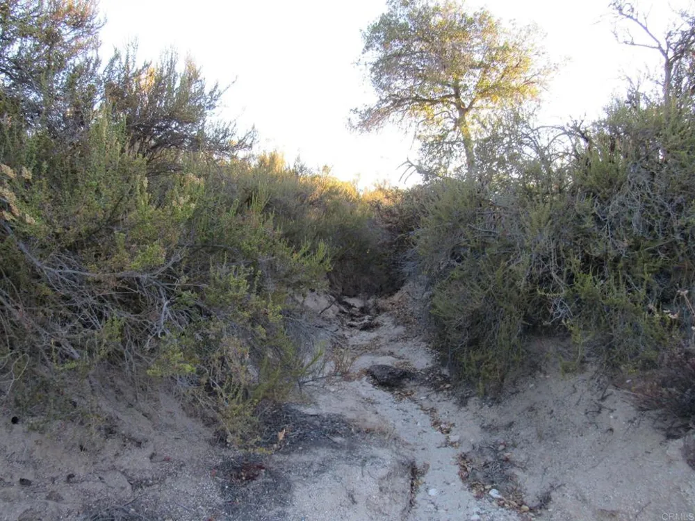 109 Highway 94 Boulevard, CA 91905