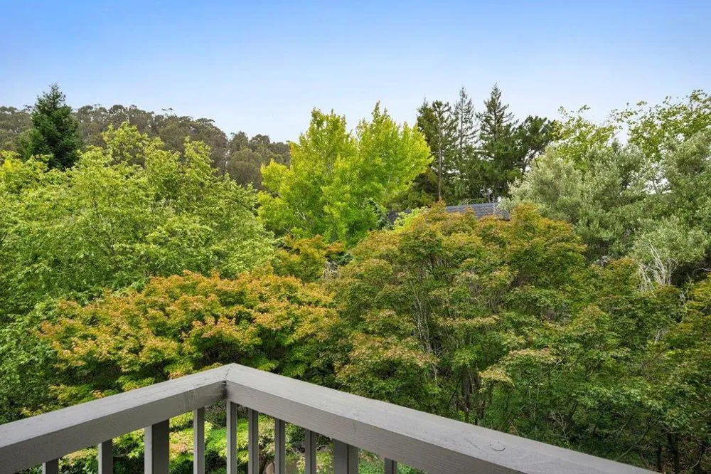 2335 Shelter Creek Lane #335 San Bruno, CA 94066