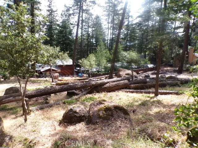 8020 Soda Bay Road Kelseyville, CA 95451