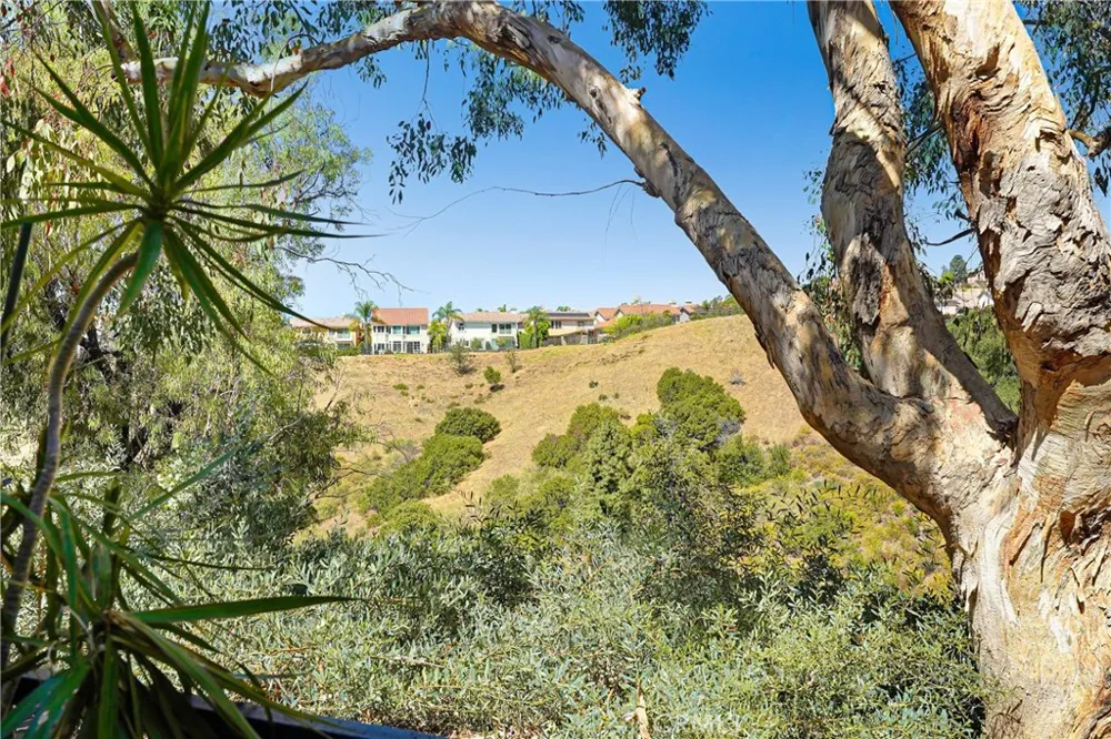 11621 Tampa Avenue #194 Porter Ranch, CA 91326
