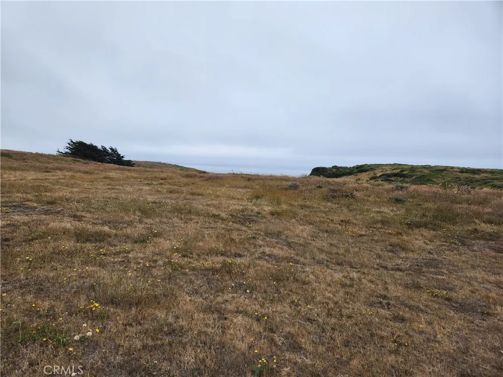 16200 S Highway 1 Manchester, CA 95459
