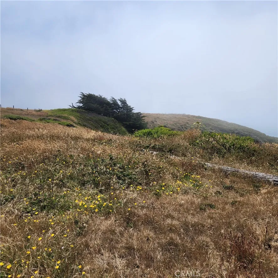 16200 S Highway 1 Manchester, CA 95459
