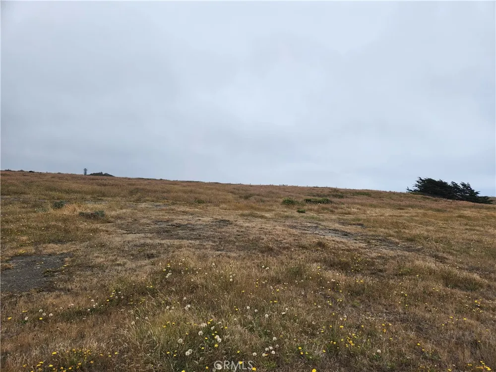 16200 S Highway 1 Manchester, CA 95459