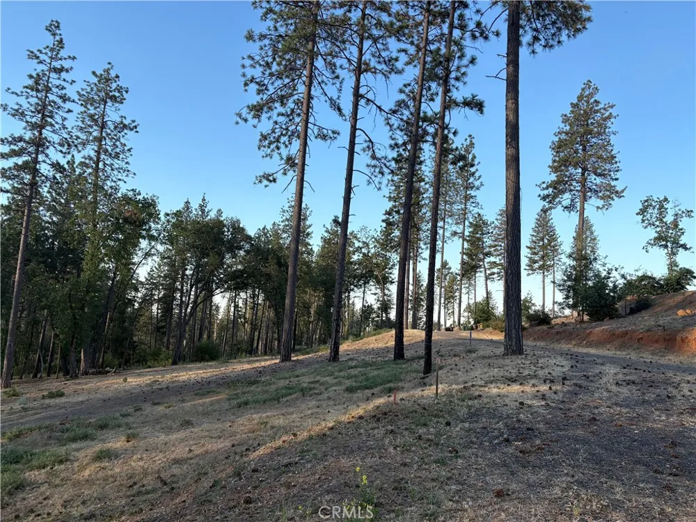 5910 Boeta Court Paradise, CA 95969