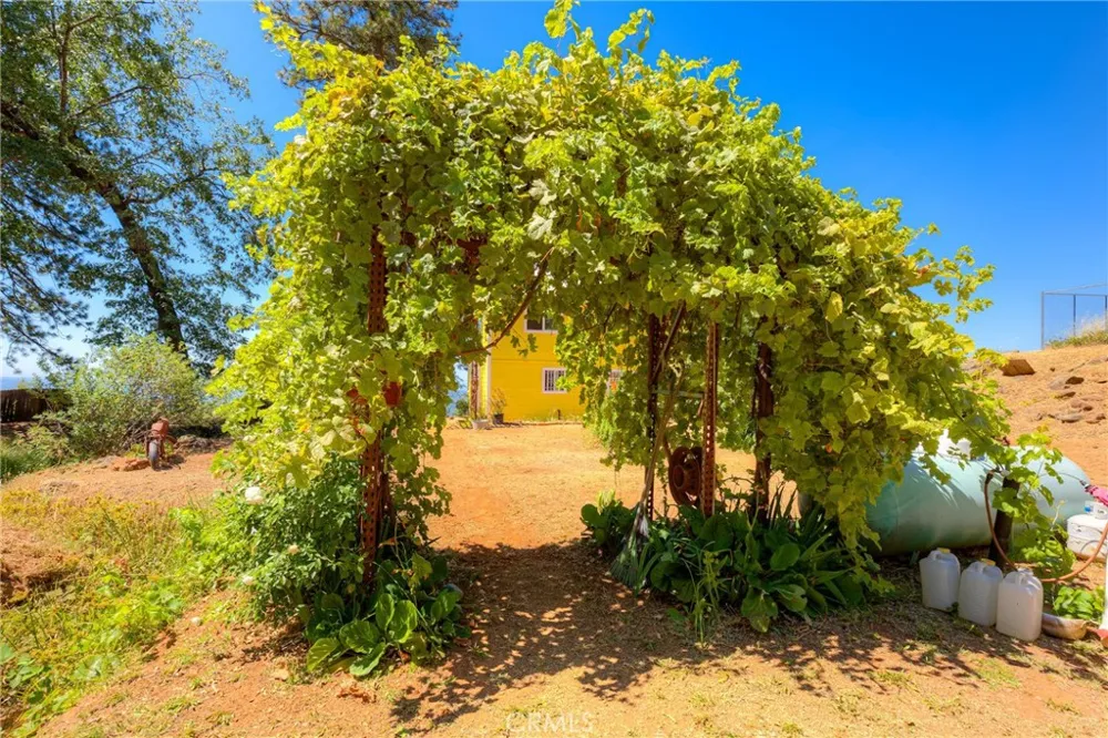 1895 Encina Grande Berry Creek, CA 95916