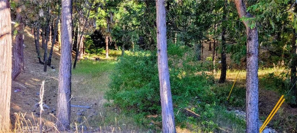 Grass Valley Lake Arrowhead, CA 92352