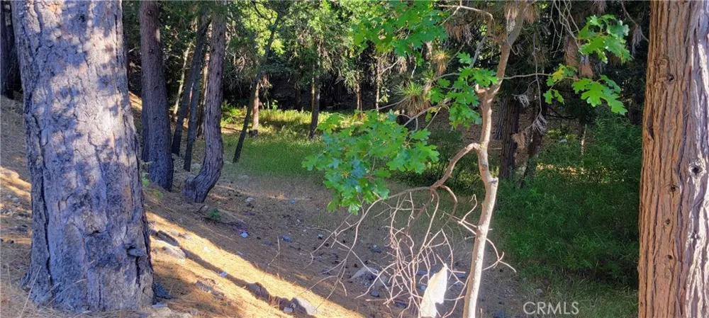 Grass Valley Lake Arrowhead, CA 92352