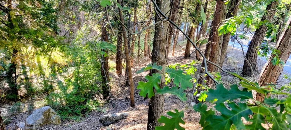 Grass Valley Lake Arrowhead, CA 92352