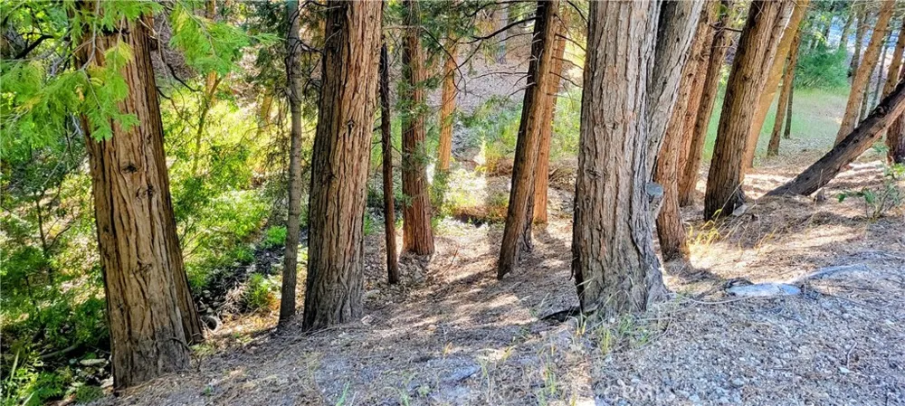 Grass Valley Lake Arrowhead, CA 92352
