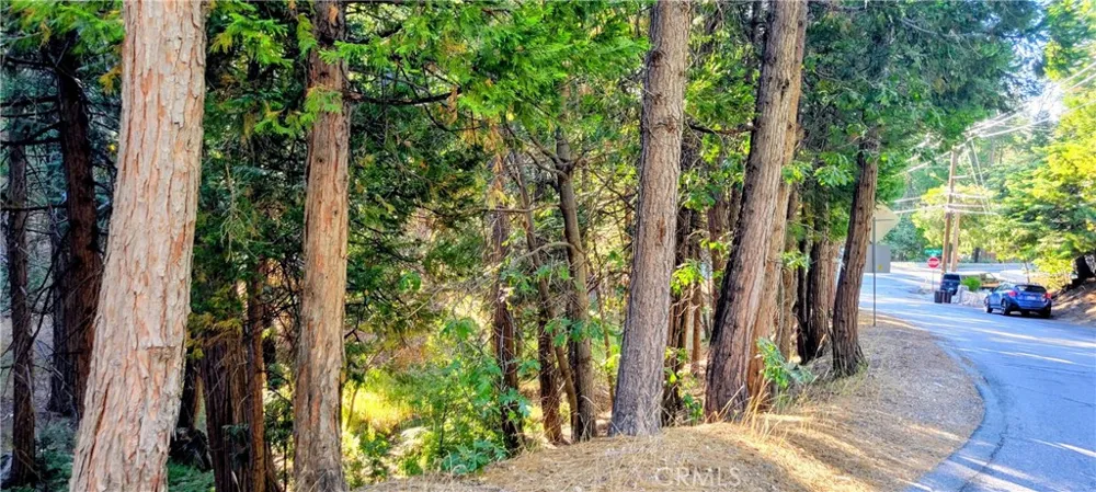Grass Valley Lake Arrowhead, CA 92352