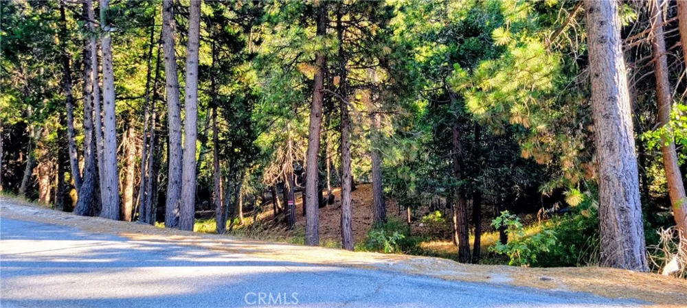 Grass Valley Lake Arrowhead, CA 92352