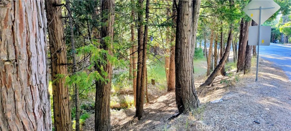 Grass Valley Lake Arrowhead, CA 92352