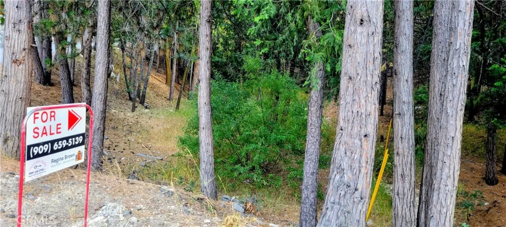 Grass Valley Lake Arrowhead, CA 92352
