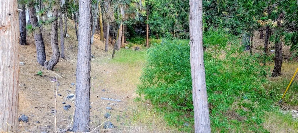 Grass Valley Lake Arrowhead, CA 92352