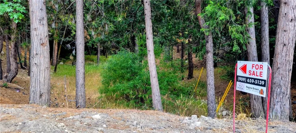 Grass Valley Lake Arrowhead, CA 92352