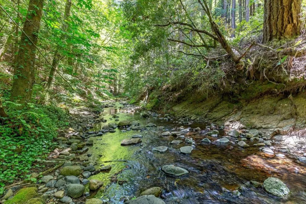 14521 Pescadero La Honda, CA 94020