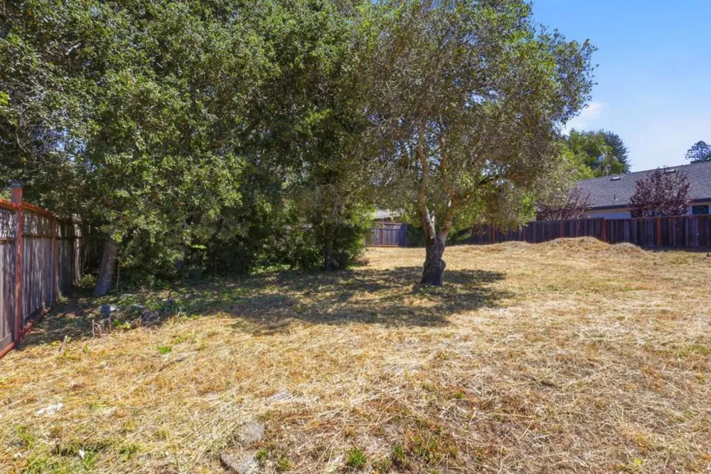 Nepenthe Drive Santa Cruz, CA 95060