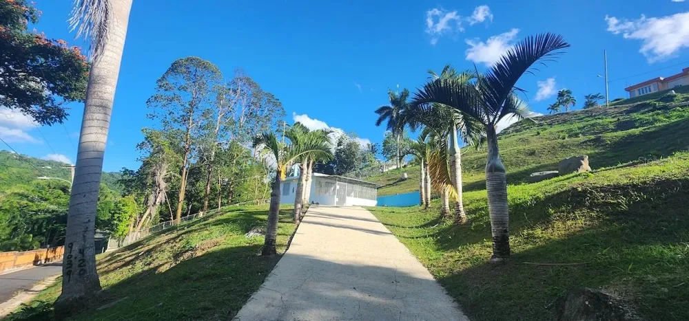 KM 12.2 INT LAS PAPAYAS RD (SR-185) #Lots A and B Carolina, PR 00987