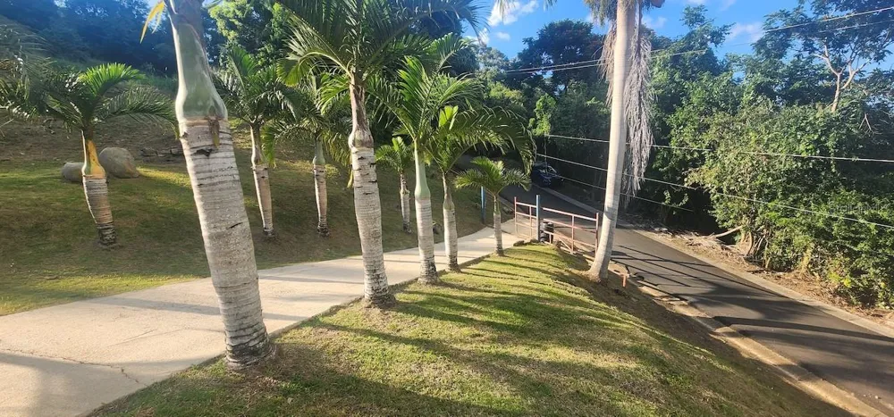 KM 12.2 INT LAS PAPAYAS RD (SR-185) #Lots A and B Carolina, PR 00987