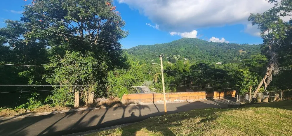 KM 12.2 INT LAS PAPAYAS RD (SR-185) #Lots A and B Carolina, PR 00987