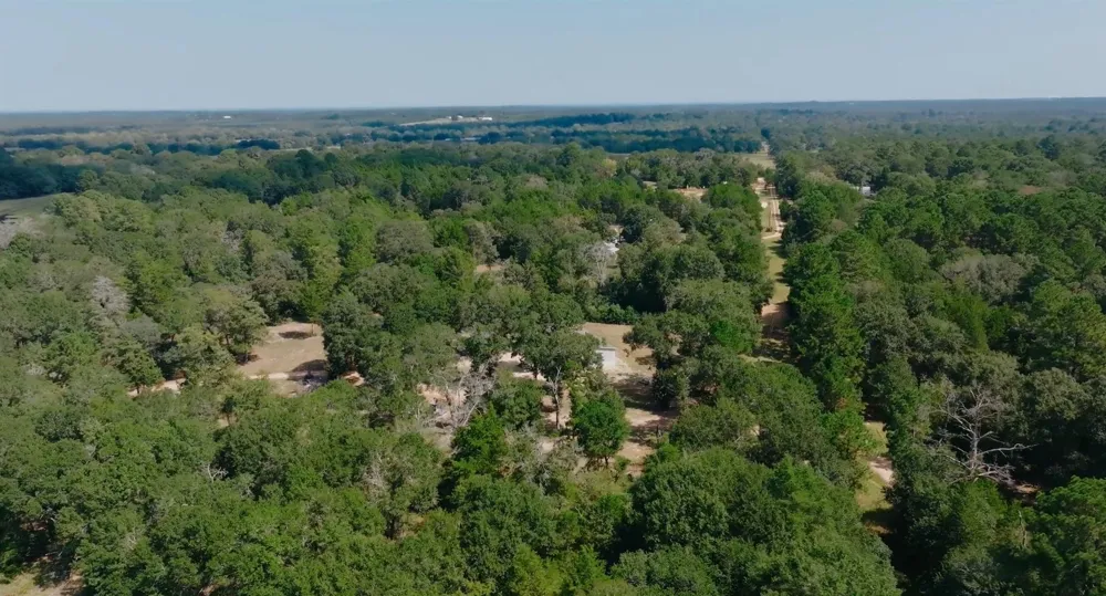 1047 Jim Bob Lane New Ulm, TX 78950