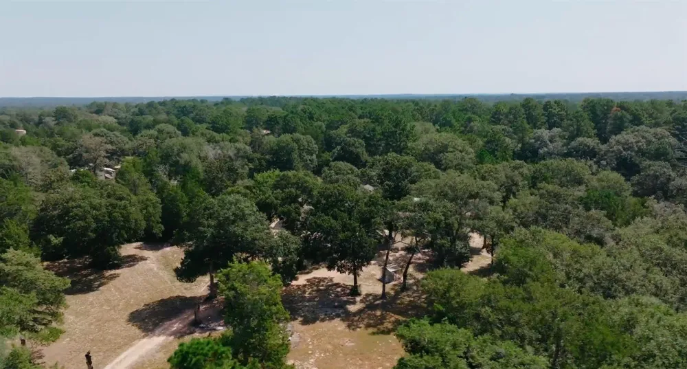 1047 Jim Bob Lane New Ulm, TX 78950