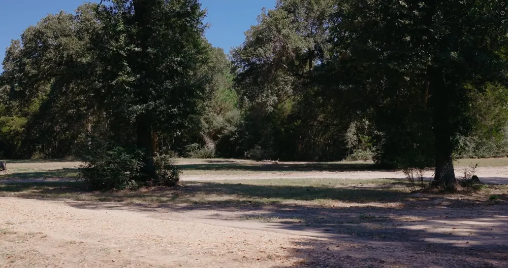 1047 Jim Bob Lane New Ulm, TX 78950