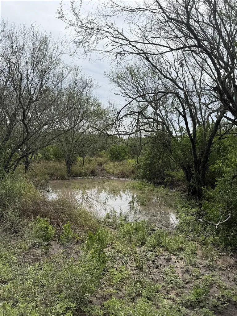 2346 Frontier rd 1 San Diego, TX 78384