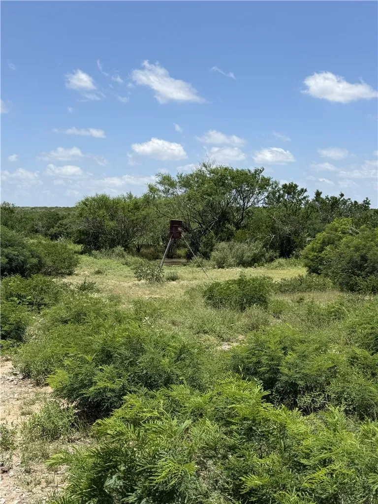 2346 Frontier rd 1 San Diego, TX 78384