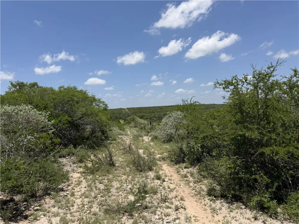 2346 Frontier rd 1 San Diego, TX 78384
