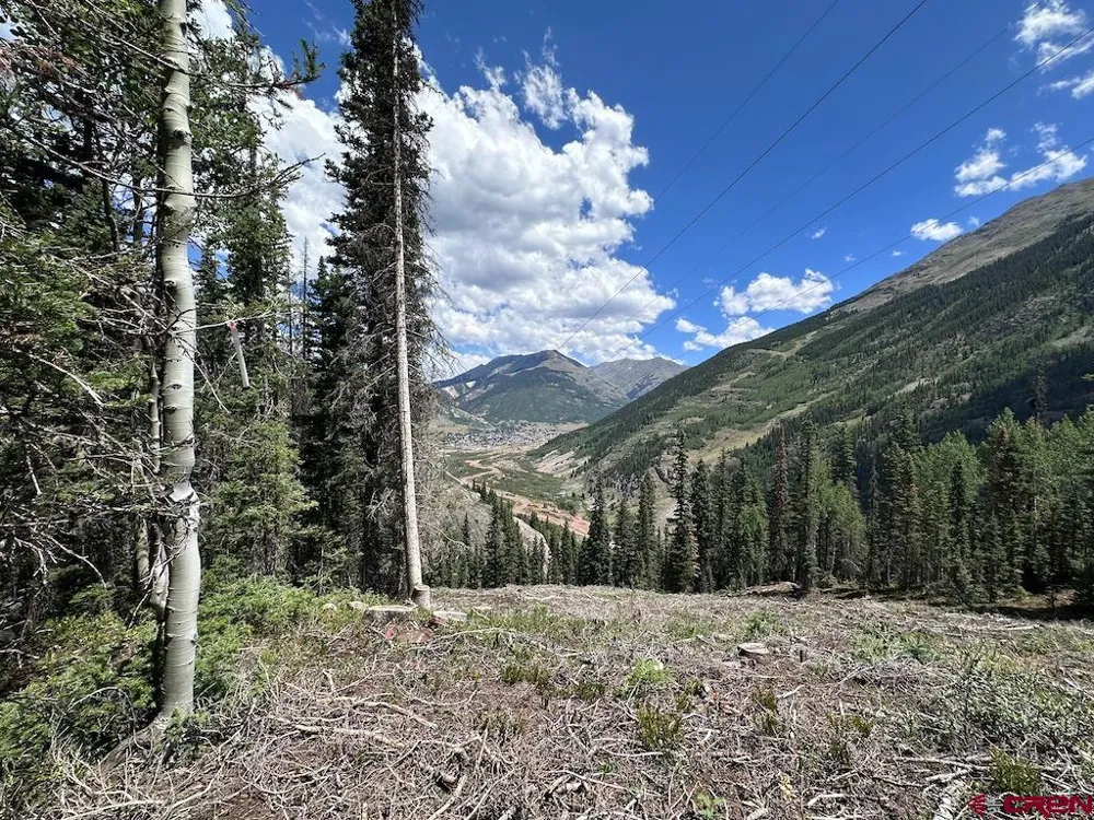 Alletha Highway 550 Silverton, CO 81433
