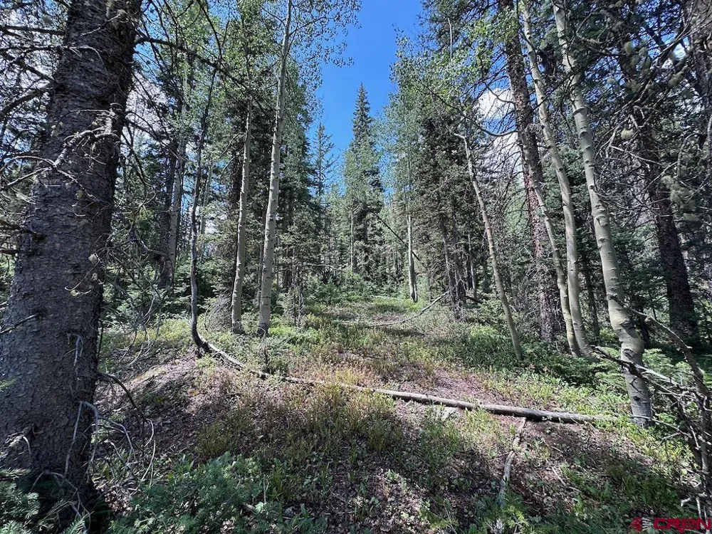 Alletha Highway 550 Silverton, CO 81433