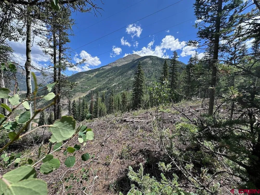 Alletha Highway 550 Silverton, CO 81433