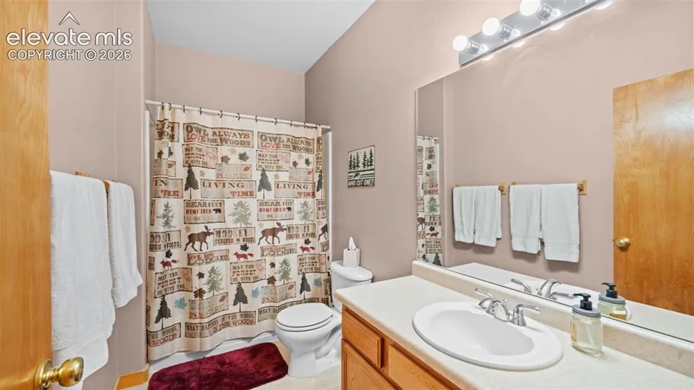 598 Dandy Jim Drive Cripple Creek, CO 80813