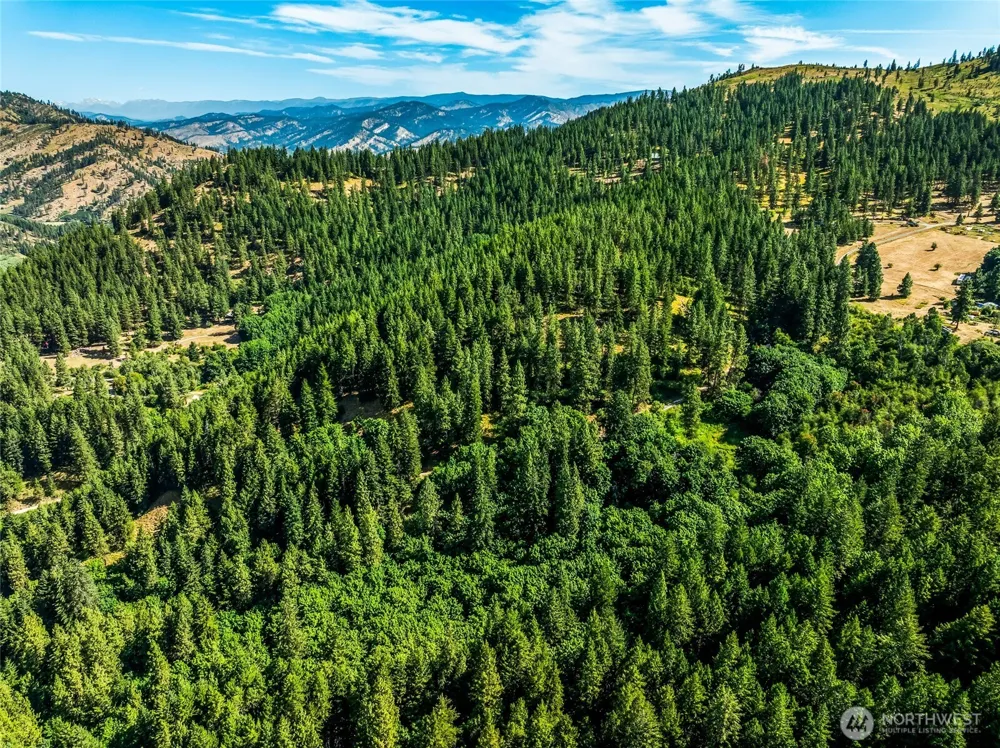 6211 US-97 Highway Peshastin, WA 98847