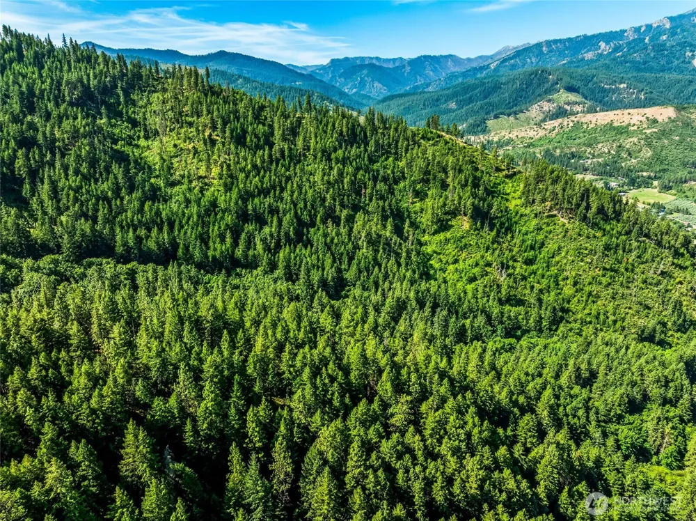 6211 US-97 Highway Peshastin, WA 98847