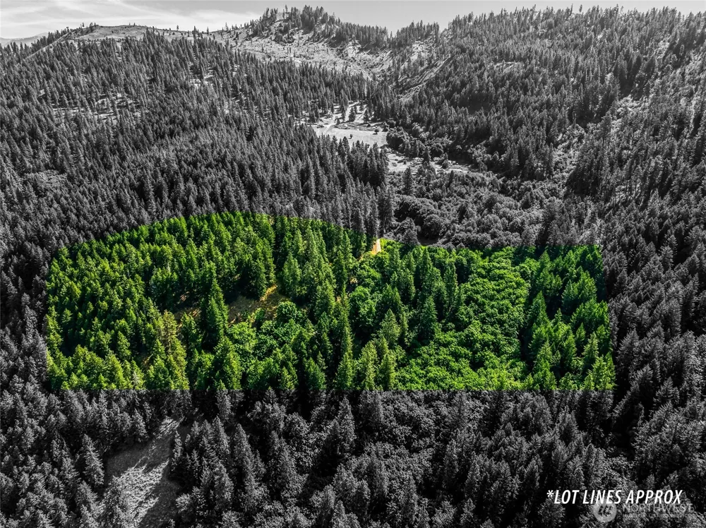 6211 US-97 Highway Peshastin, WA 98847