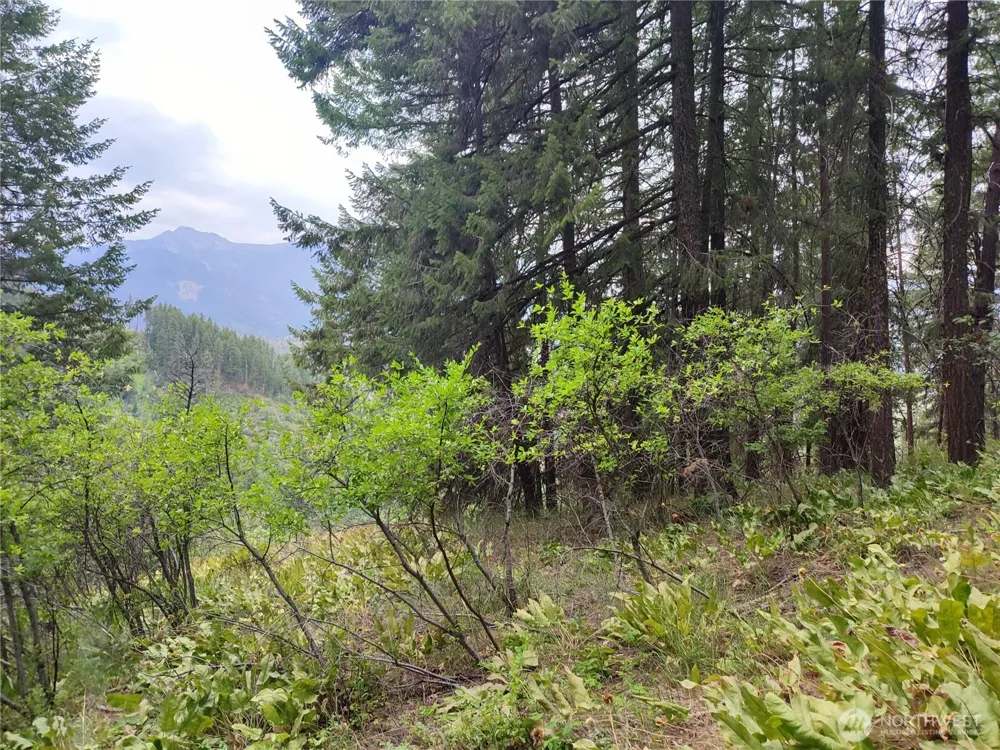 6211 US-97 Highway Peshastin, WA 98847