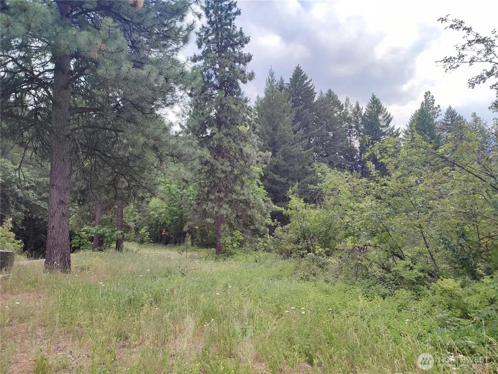 6211 US-97 Highway Peshastin, WA 98847