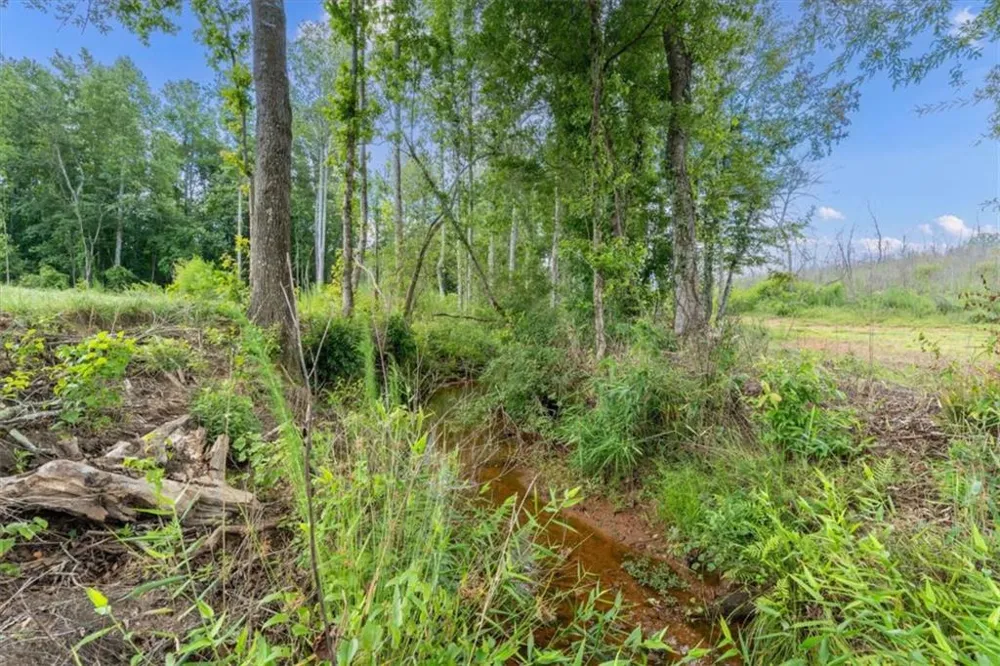 14237 County Road 82 Woodland, AL 36280