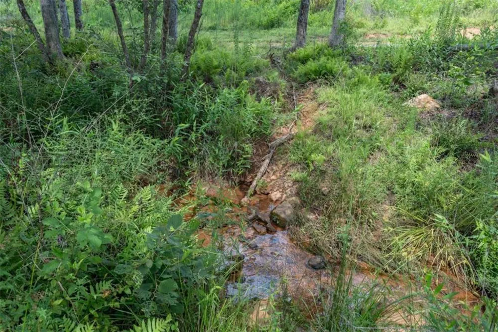 14237 County Road 82 Woodland, AL 36280