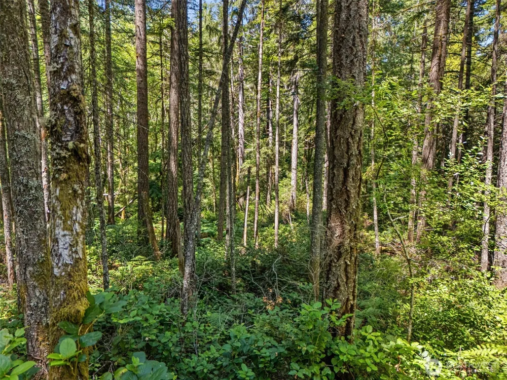 0 SP1355 E Glenwood Drive Union, WA 98592