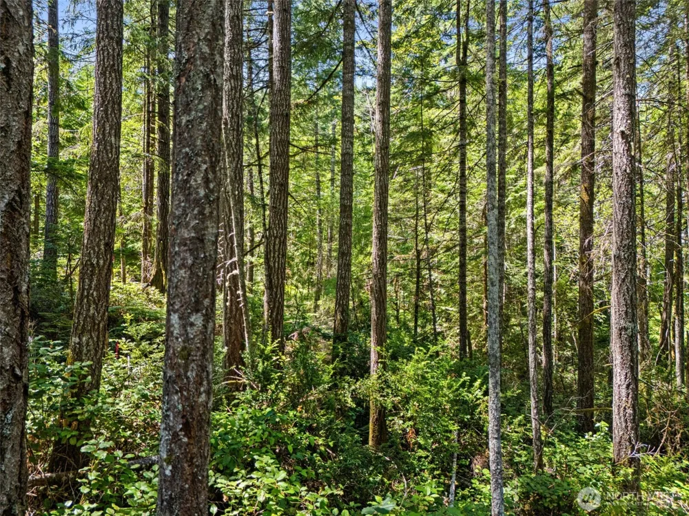 0 SP1355 E Glenwood Drive Union, WA 98592