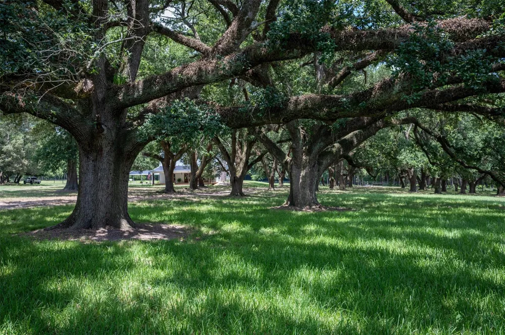 625 County Road 2570 Colmesneil, TX 75938