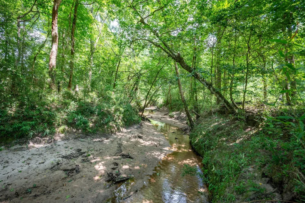 625 County Road 2570 Colmesneil, TX 75938