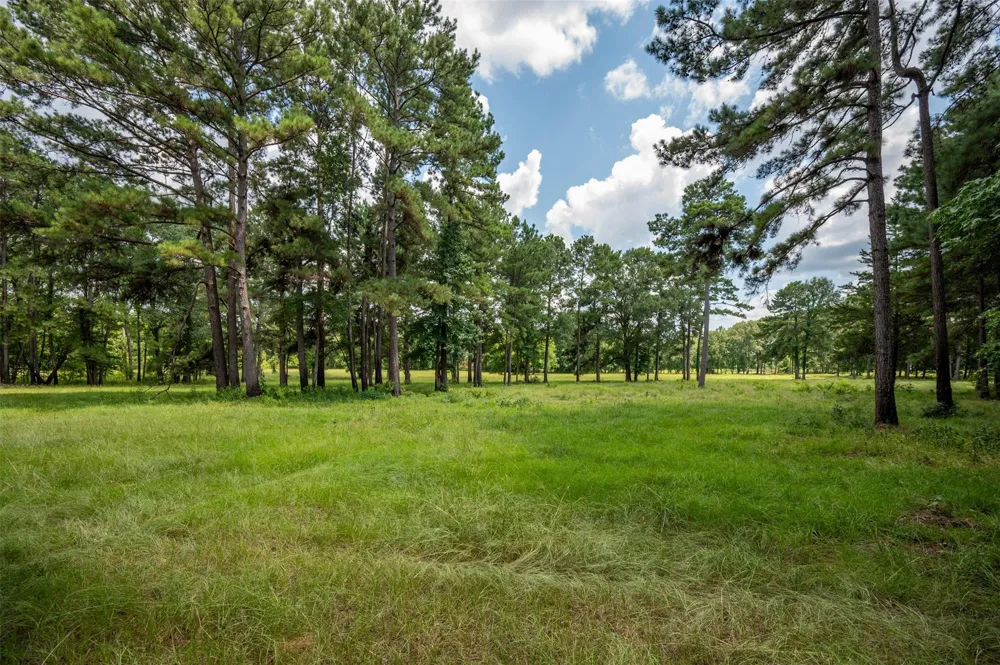 625 County Road 2570 Colmesneil, TX 75938