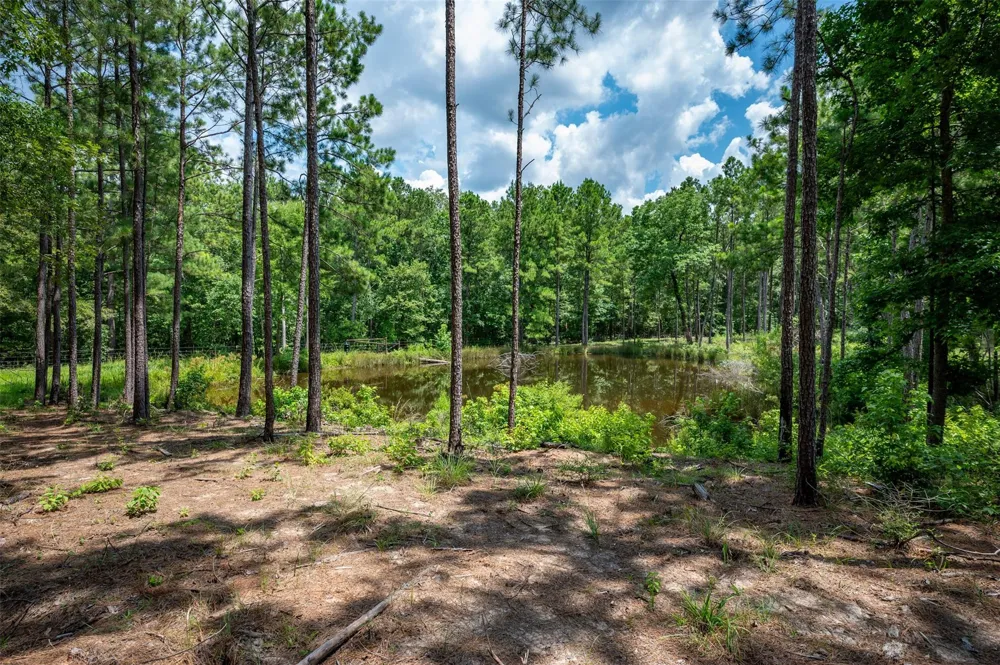625 County Road 2570 Colmesneil, TX 75938