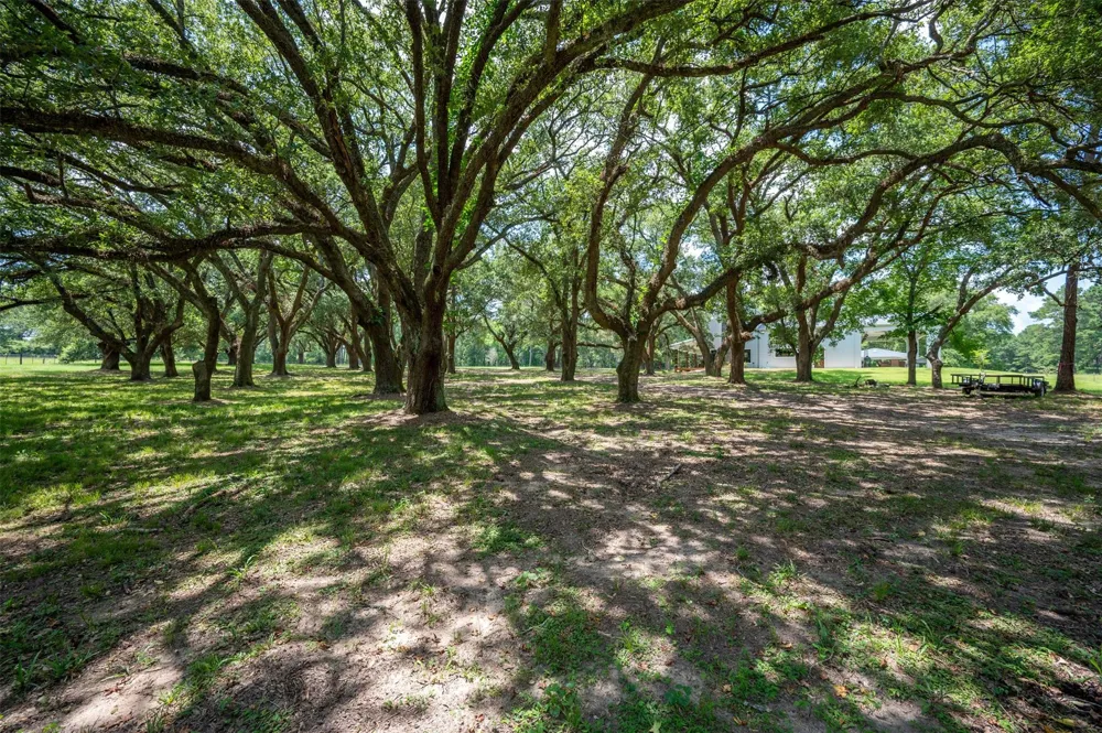 625 County Road 2570 Colmesneil, TX 75938