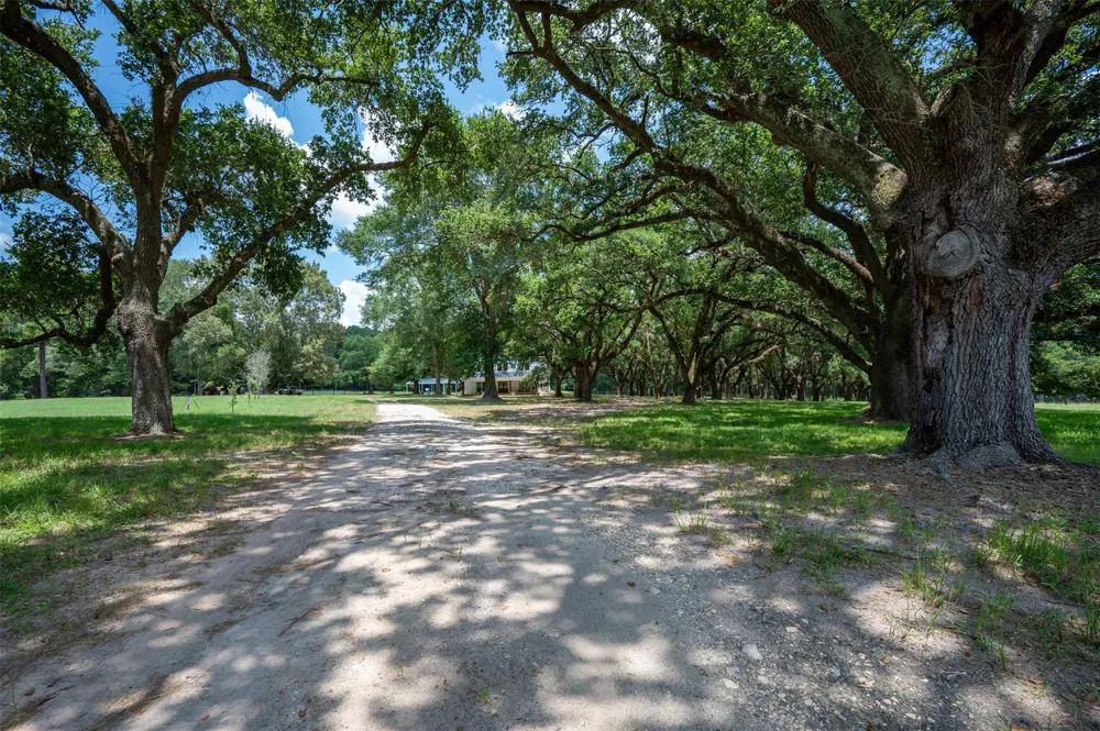 625 County Road 2570 Colmesneil, TX 75938