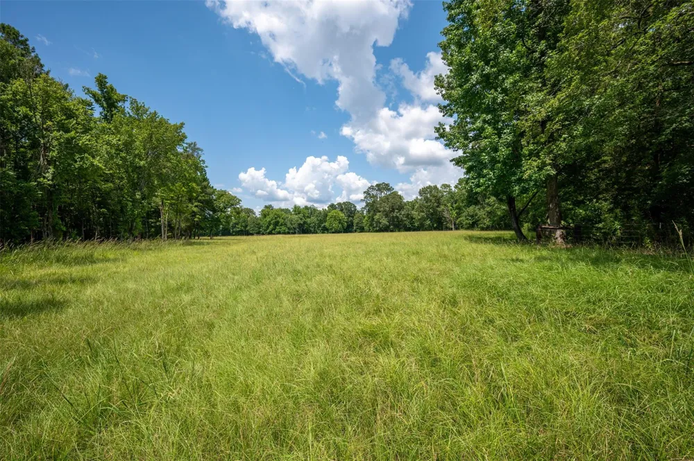 625 County Road 2570 Colmesneil, TX 75938